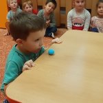 phoca_thumb_m_zajci a vtr 15 Fotogalerie